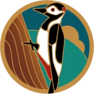 De Nunspeetse Golfvereniging logo