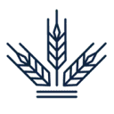 Biscuit International Netherlands logo