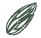 Maejor Nuts logo