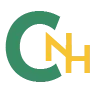 NH CONSULTANCY logo