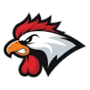 Ouderwets Poetsen logo