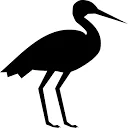 BlackStork.io logo