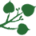 Soontiëns Ecology logo