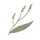 Logo van Digitale Fondsmanager