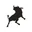 Lois Jeans logo