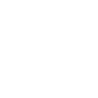 Public Beat logo