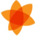 VDS Arbeidsdeskundigen logo