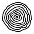 de Chrononauten logo