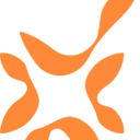 Borgings Combinatie Nederland logo