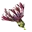 Vaste Planten Kwekerij Heutinck logo