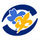 Scouting Graaf Otto Groep Lochem logo