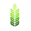 Greenfields international B.V. logo
