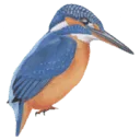 EcologieWerkt logo