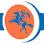 Repro- van de Kamp logo