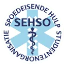 SEHSO Amsterdam logo