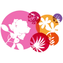 Bouquetnet B.V. logo