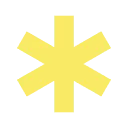 Level Foundation BV logo