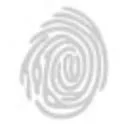 Van Kinsbergen logo
