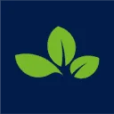Stoffels International B.V. logo