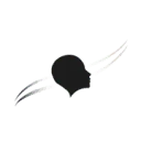 Fast Lane Vitality logo