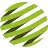 Spectrigon B.V. logo