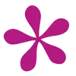 Vaselife International B.V logo