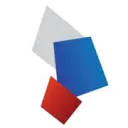BLOM-DSW logo