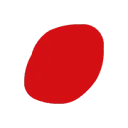 desenzo logo