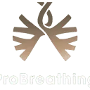 ProBreathing.nl logo