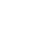 Flamingo Flowers AND Plants Netherlands logo