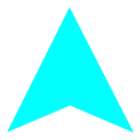 PIPPO Amsterdam Sportswear logo