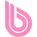 BWT Nederland B.V. logo