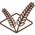 Markus AND Markus Stroopwafels B.V. logo