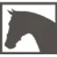 Drunens Ruiterhuis logo