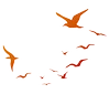 2Gether Teamcoaching logo