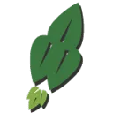 BIO Cooperative logo