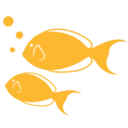 Ready to Fish logo