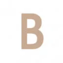 Bye Bra logo
