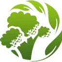 Verdonk Broccoli logo