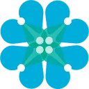 Anouk Prop logo