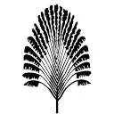 KYBOE Symons AND Panchenko logo
