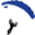 Skydive ENPC logo