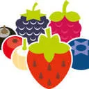 Berry Briljant logo