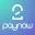 2paynow logo