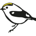 Goldcrest Nature Tours logo