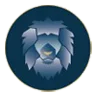 Citys Student Consultancy Groningen logo