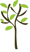 Cinqo Consultancy logo