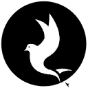 Break Free Films logo