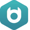 Netwinst...where digital becomes personal logo