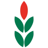 H Visser Hoveniers logo